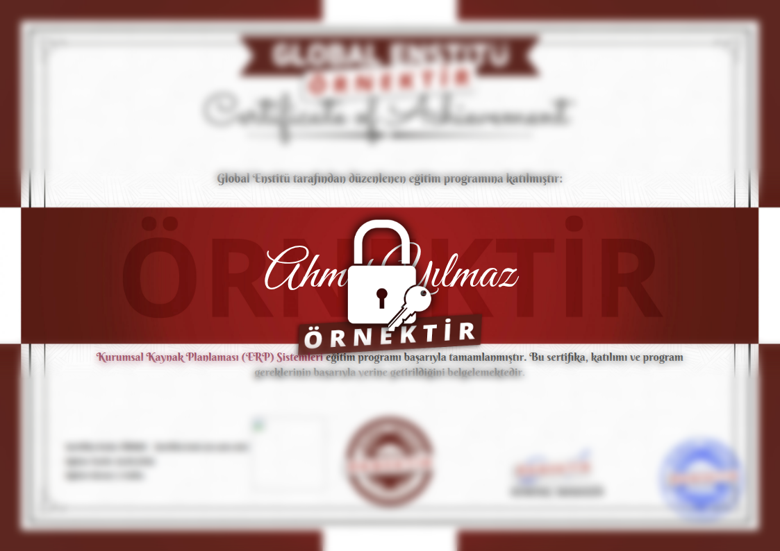 Örnek Kurumsal Kaynak Planlaması (ERP) Sistemleri Sertifikası