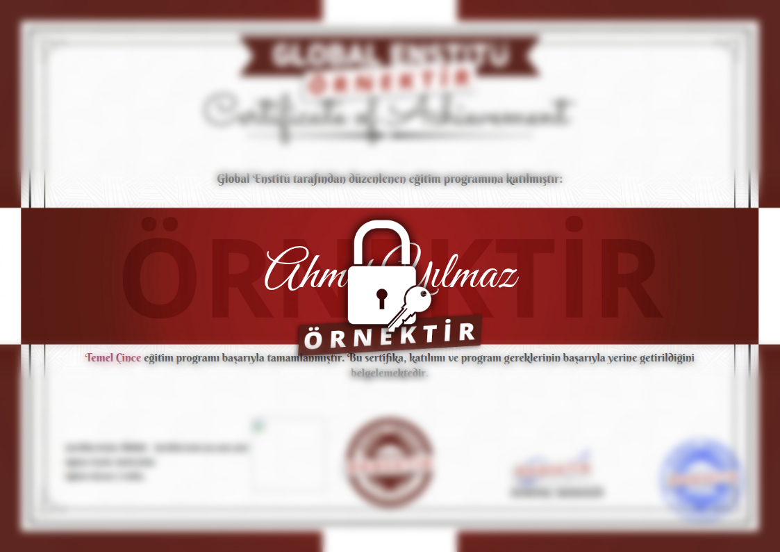 Örnek Temel Çince Sertifikası