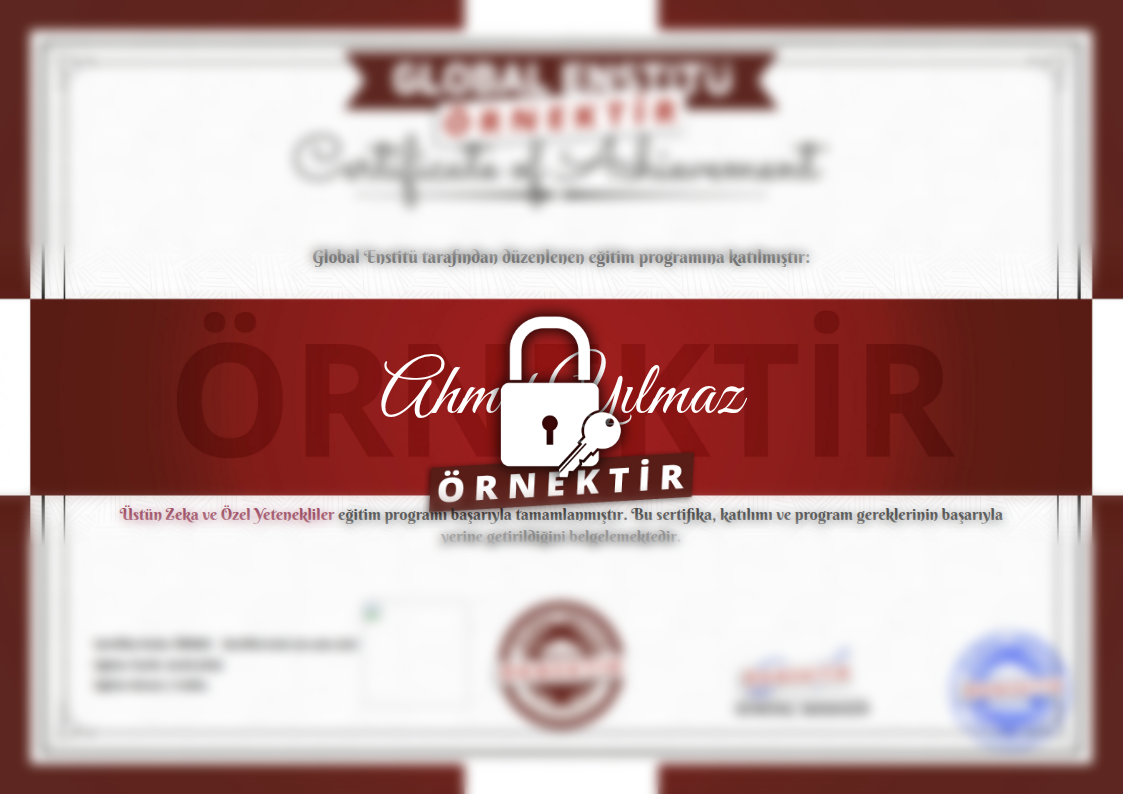 Örnek Üstün Zeka ve Özel Yetenekliler Sertifikası