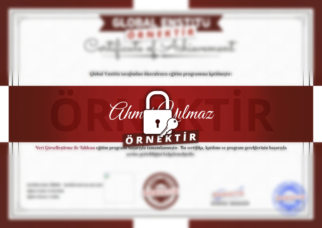 Örnek Veri Görselleştirme ile Tableau Sertifikası
