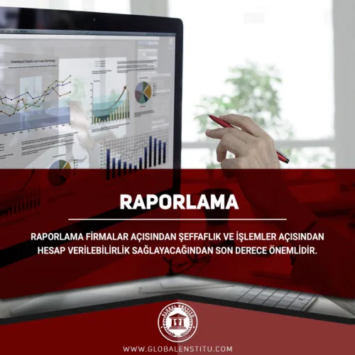 Raporlama