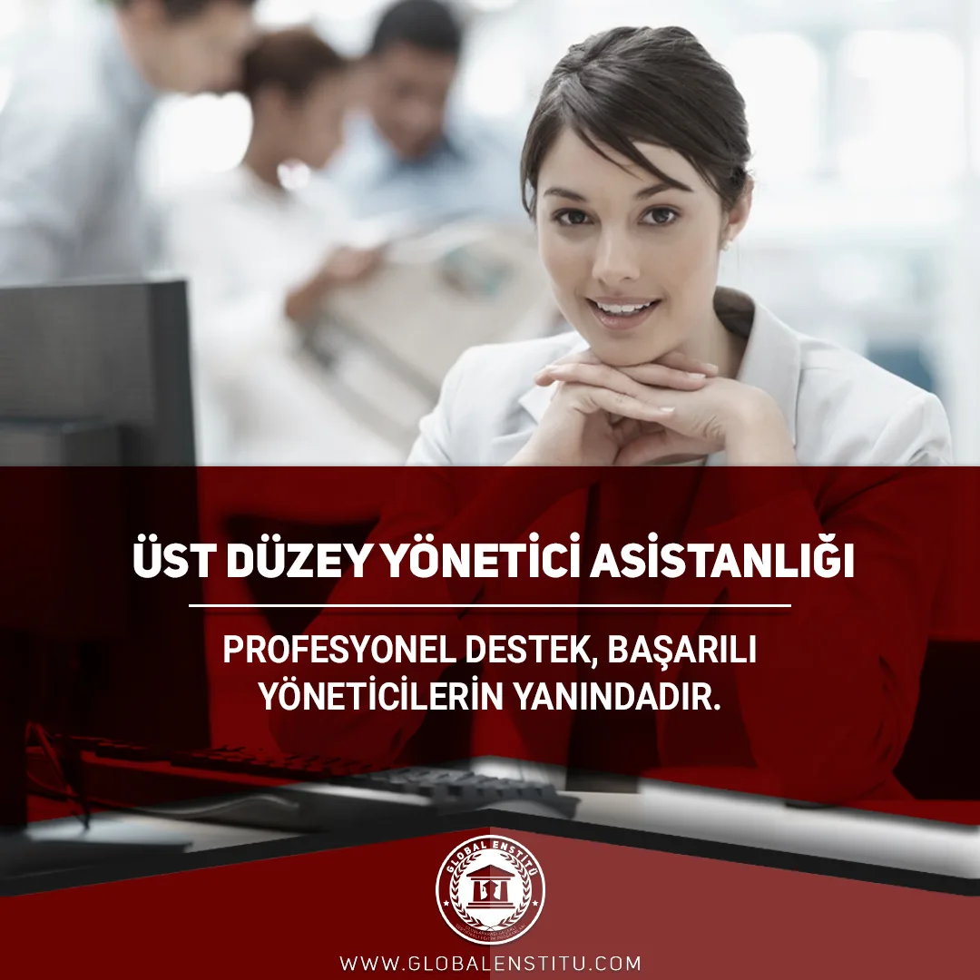 Üst Düzey Yönetici Asistanlığı