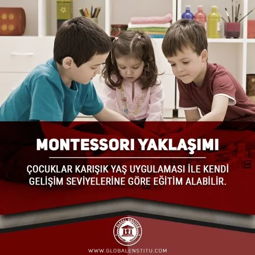 Montessori Yaklaşımı
